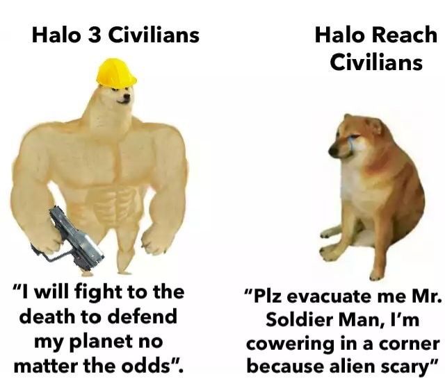I do the halo posting around here boys