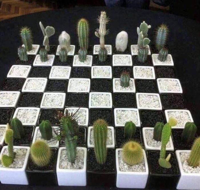 Chess level: master