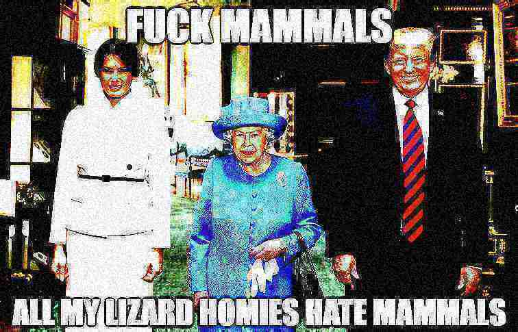 reptile gang reptile gang reptile gang