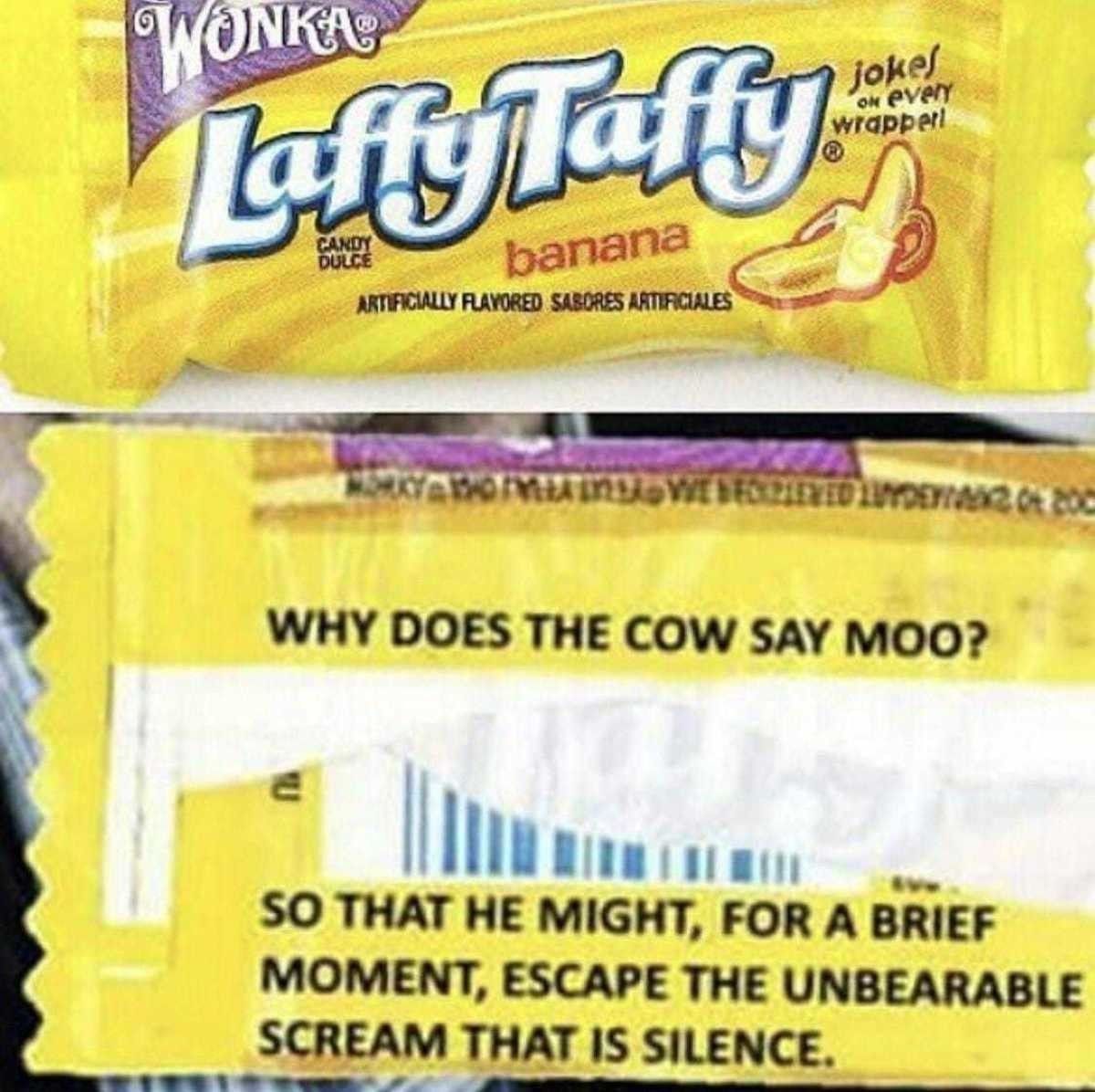 Moo