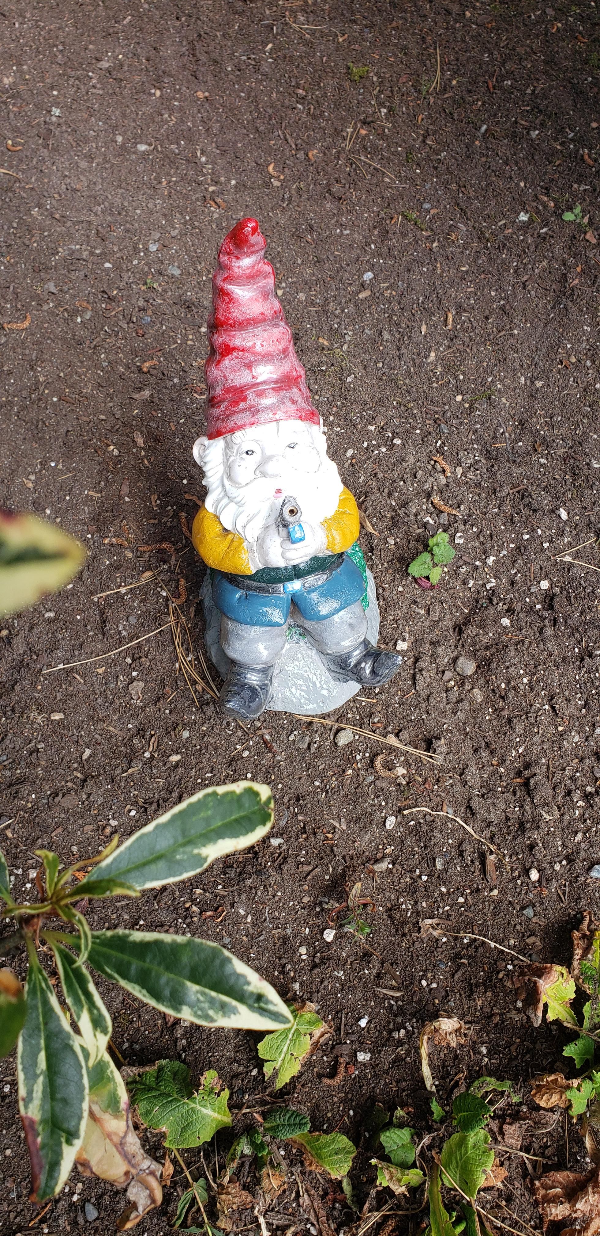 Our garden gnome lost his fishing pole and now he just looks like he's packin' heat