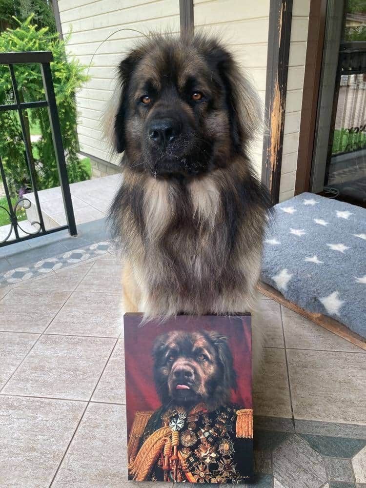 My friend just got a portrait done of his dog