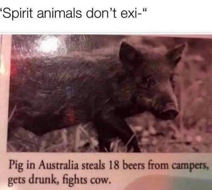 Little guy gets it