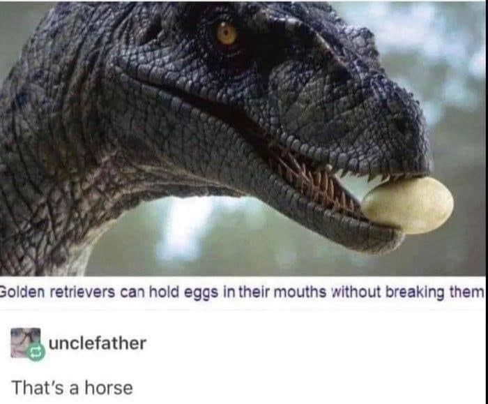 Re??