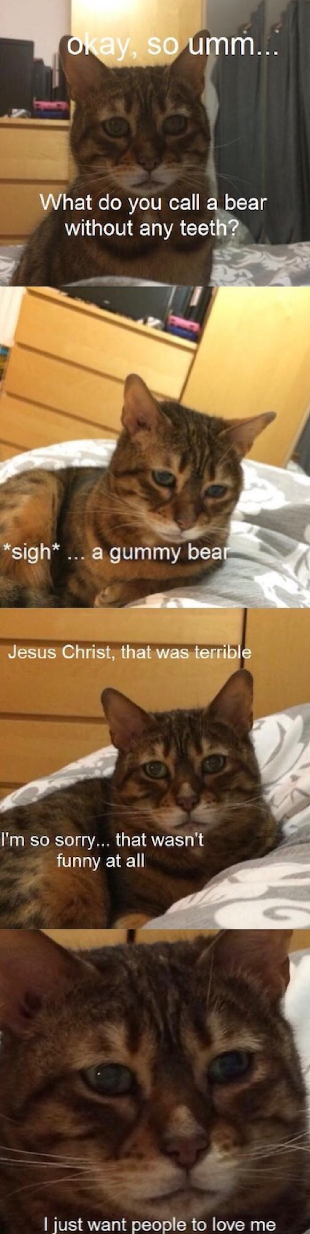 Trying to post memes here like