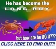 the longest