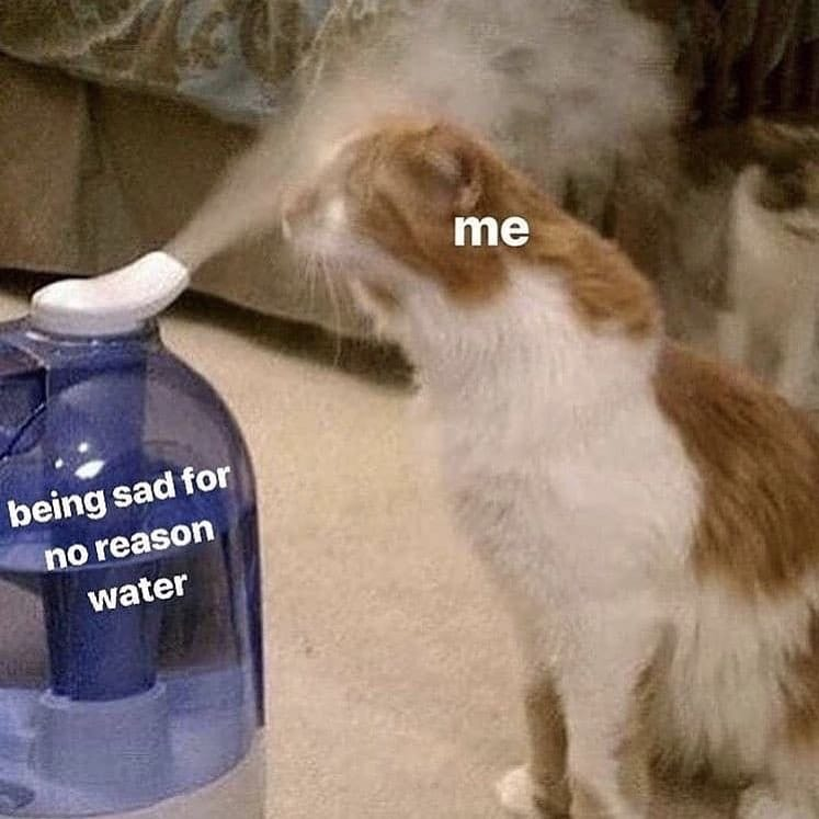 It just taste so good