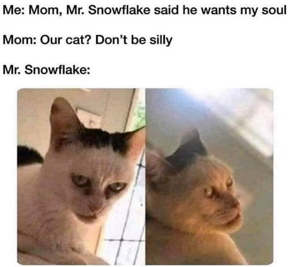 Looks like a cute boy to me