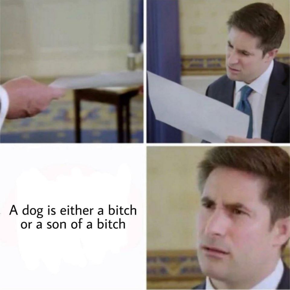 fax