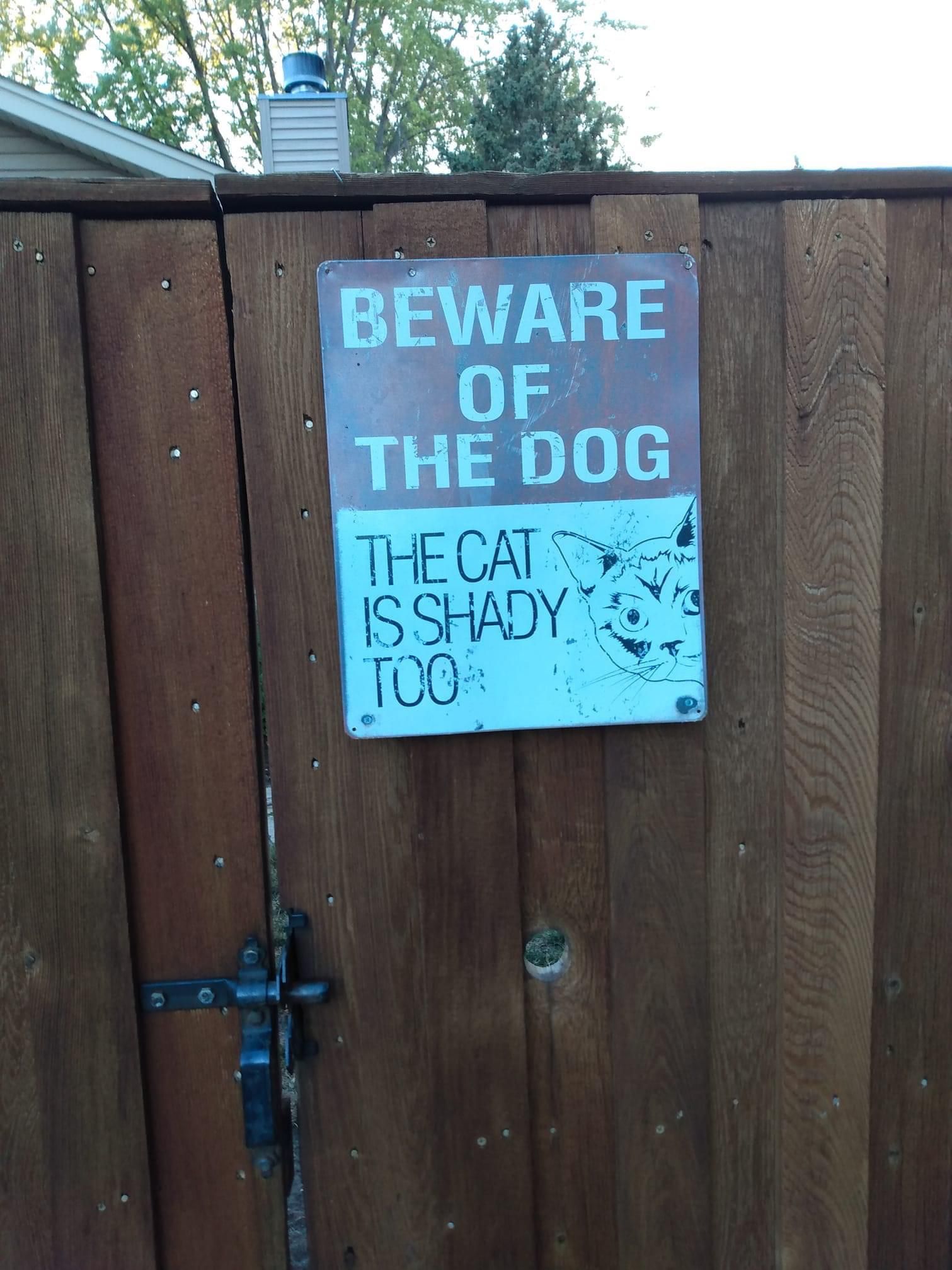 Seen by a friend while she was out on a walk...