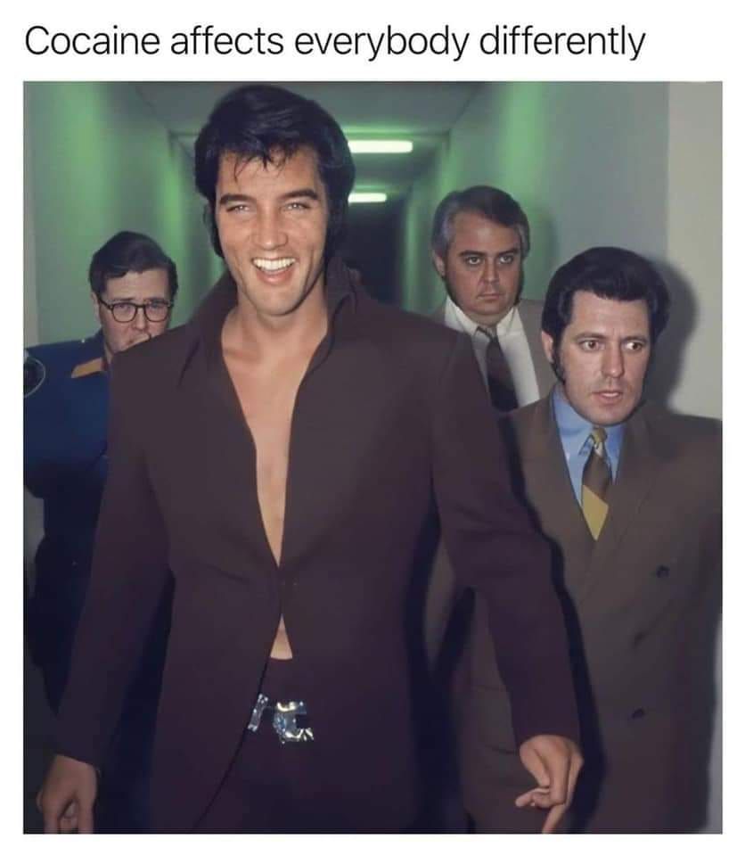 brehlvis