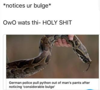OwO