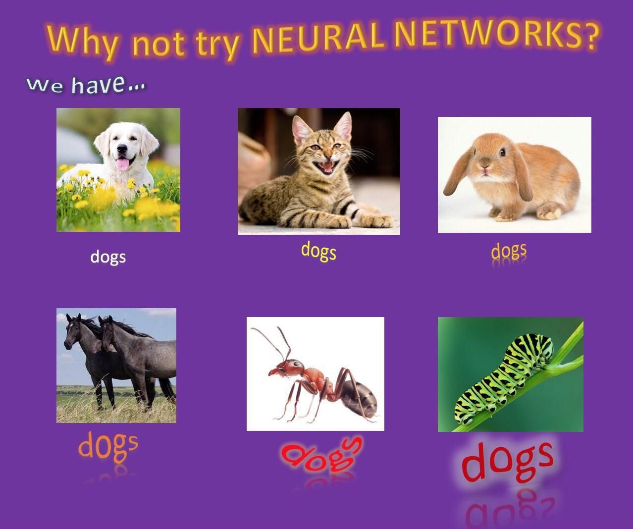 it is WELL TRAINED