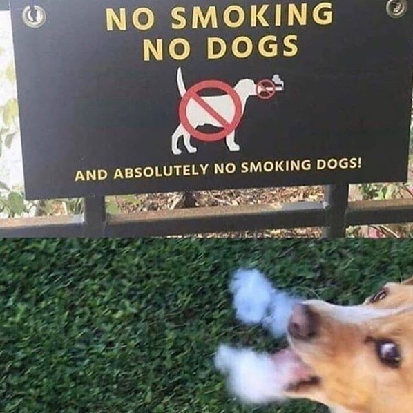 Smoken dogs