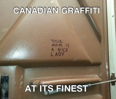 The Canadian Youth vandalizing and rioting