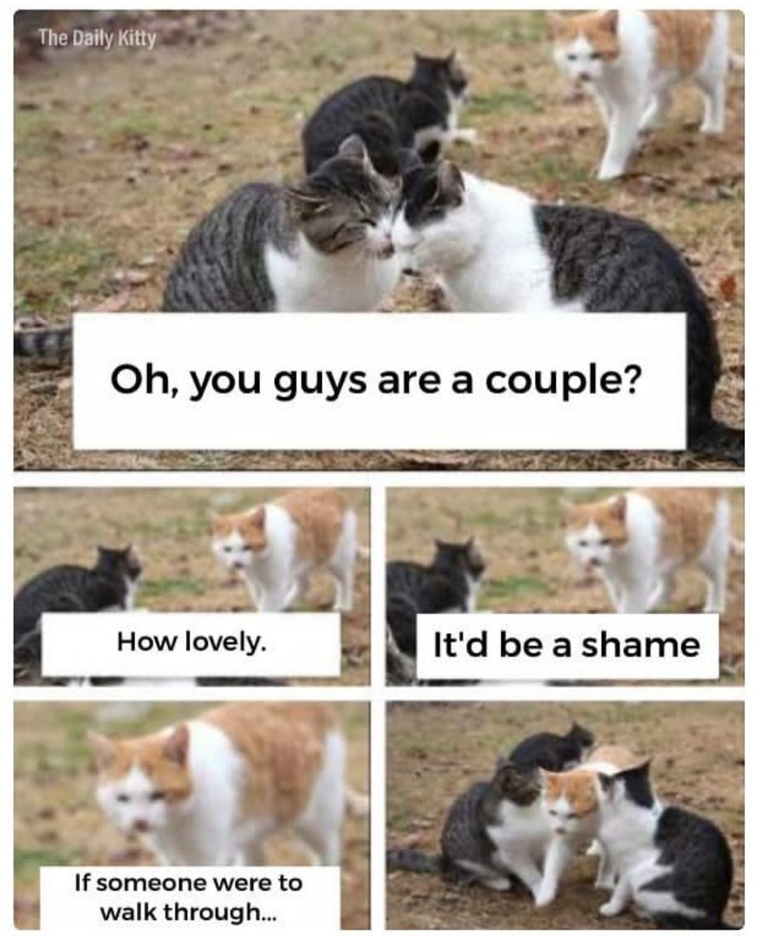 What a shame