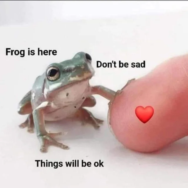 Listen to the frog