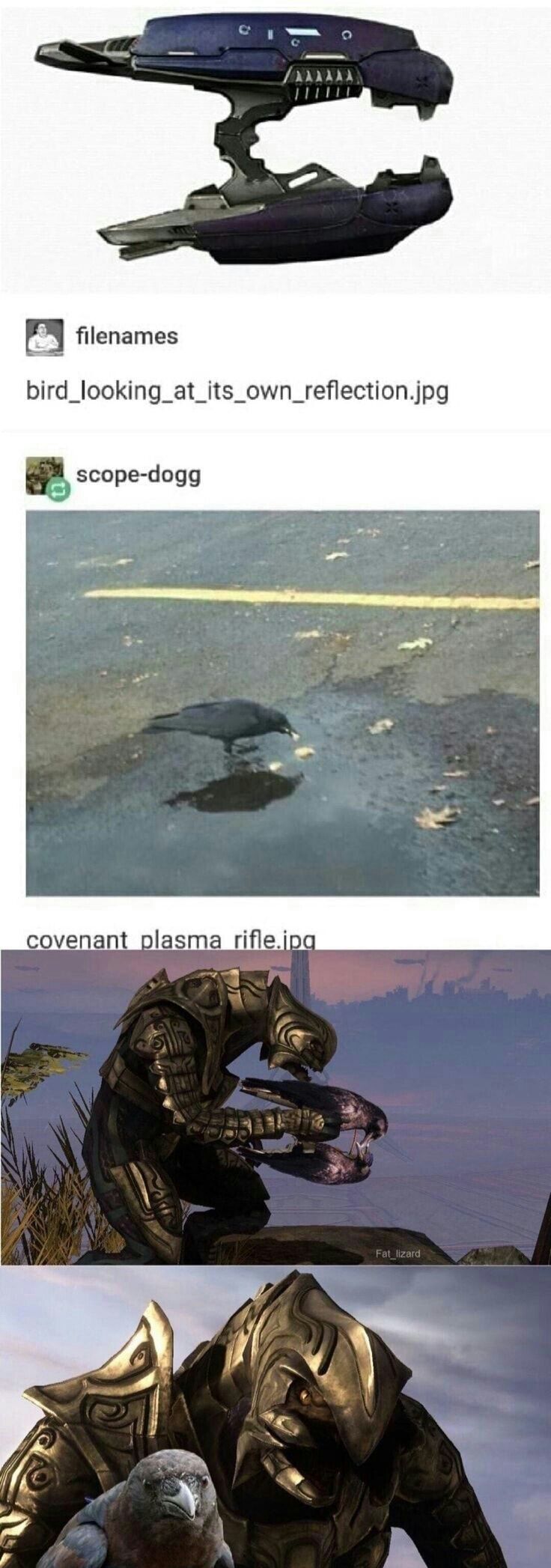 I do the halo posting around here boys