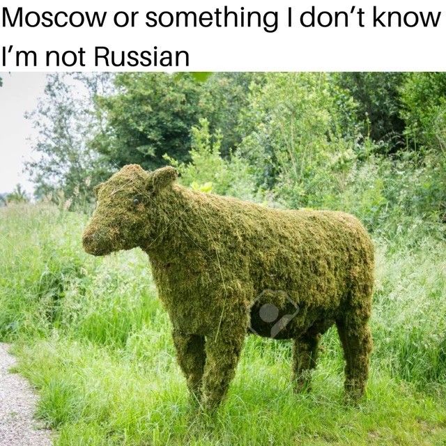 Vegans have gone too far