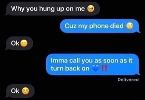(｡･ω･｡)