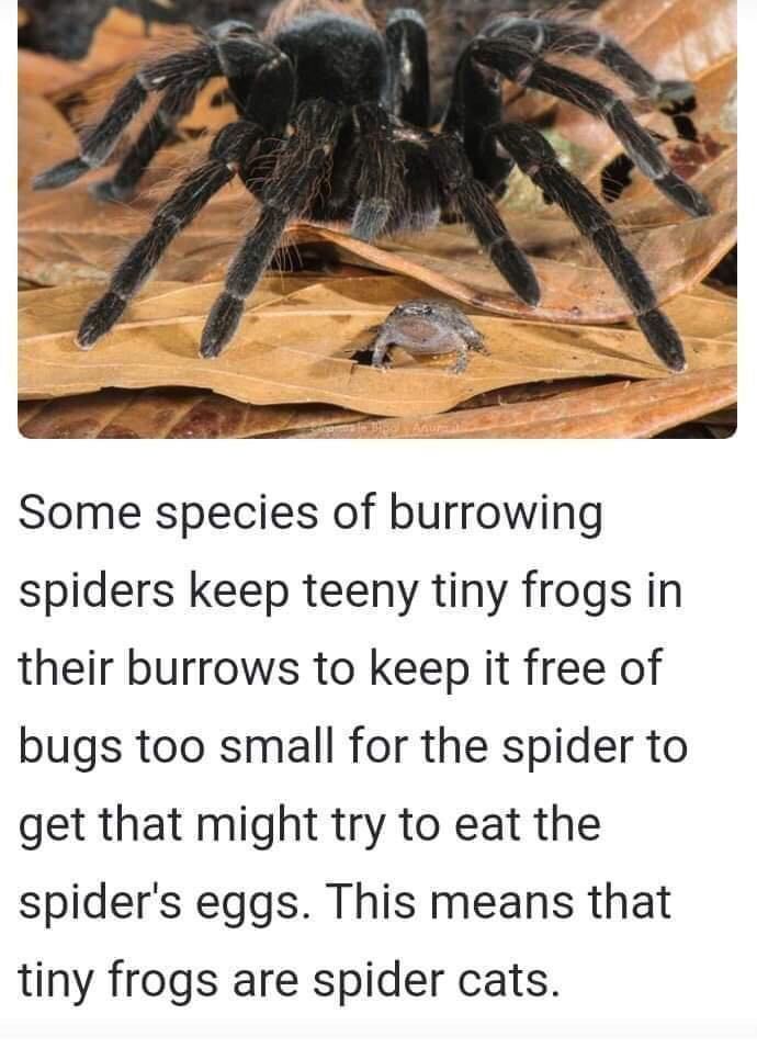 wednesday informative