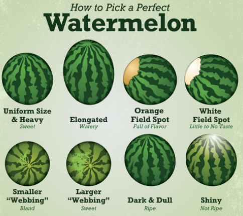 next time you wanna pick the perfect watermelon :)