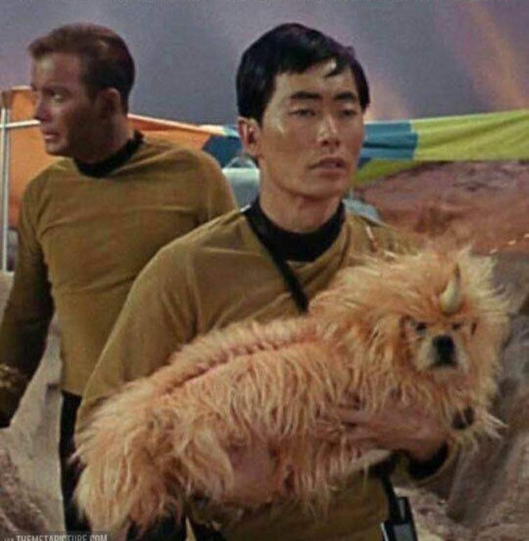 Let's not forget this doggo once passed off as an alien lol. Happy International dog's day, everyone!