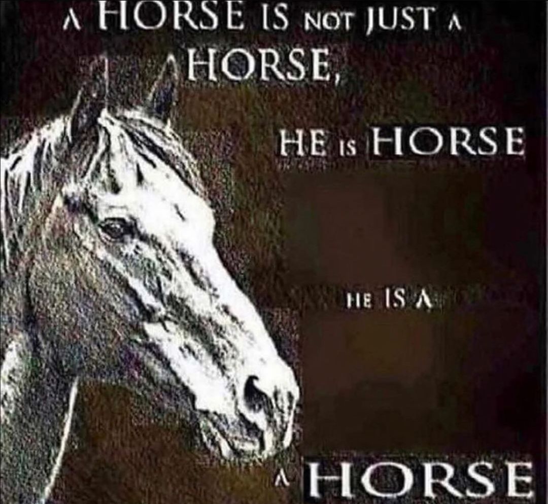 Horse