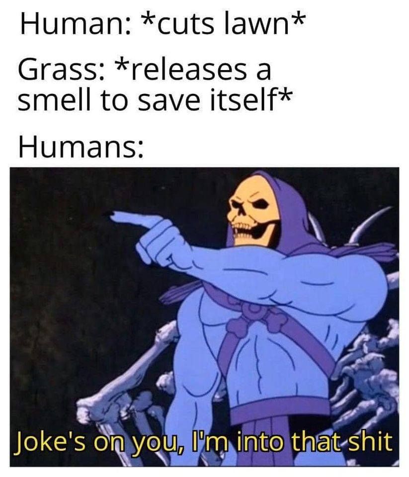 breh
