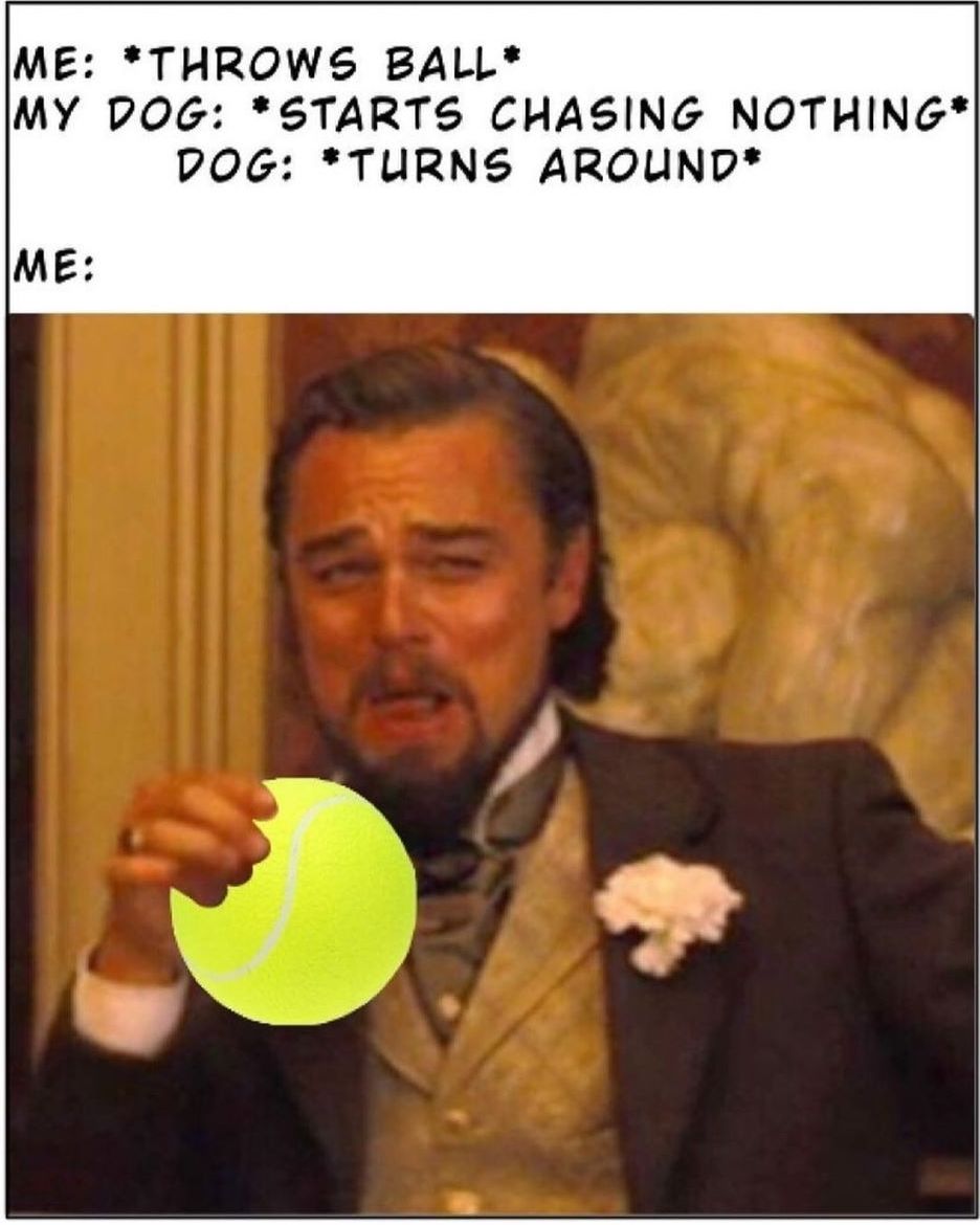 *happy ...but confused... dog noises*