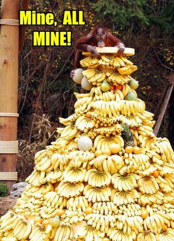 I Am The Banana King!