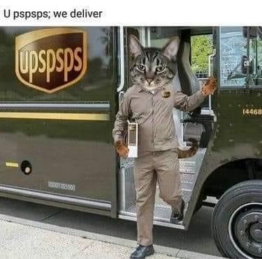 Kitty