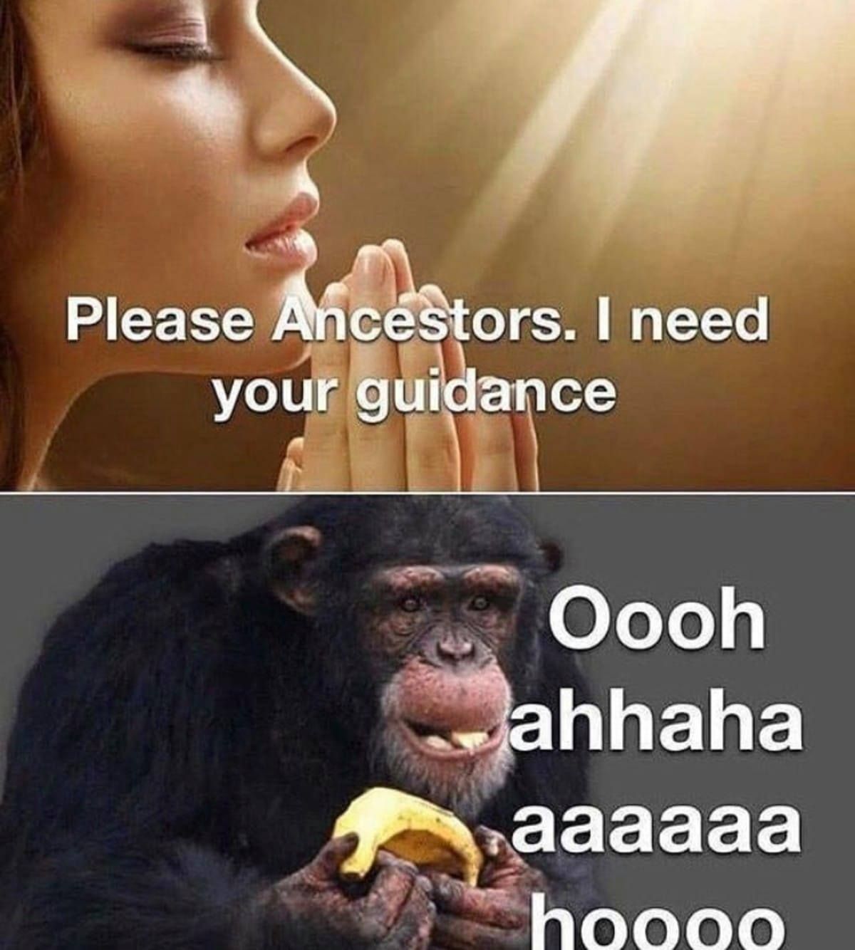 OOOOOOOOOOH AHHH HOOOOOOOO oh ho ho HOOOOOOO AHHHHHHH BREEEEEEEEEEEEEEEEEH