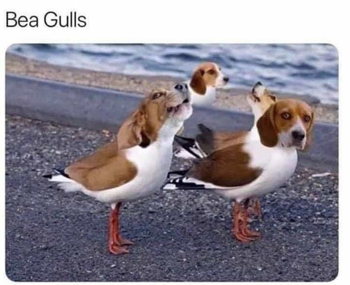 Yes