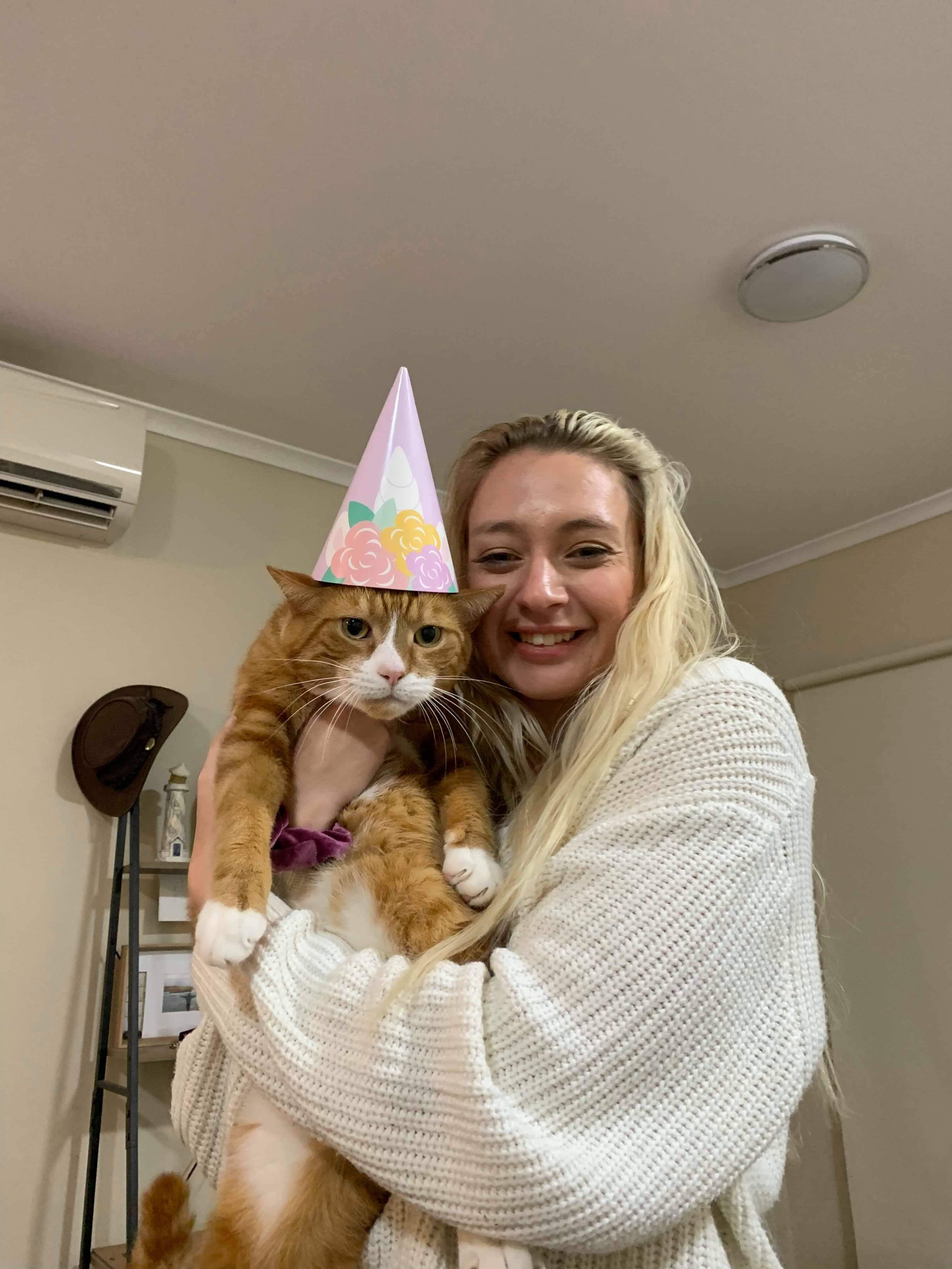 I gave my cat a birthday party. He was not impressed