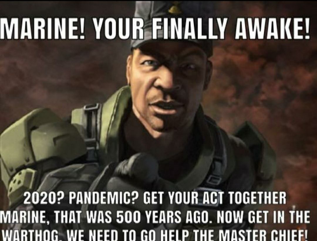 I do the halo posting around here guys. Now grab a gun we got to save the chief