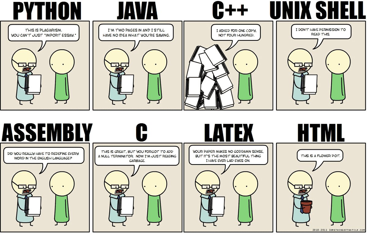 Software Developers' Problems