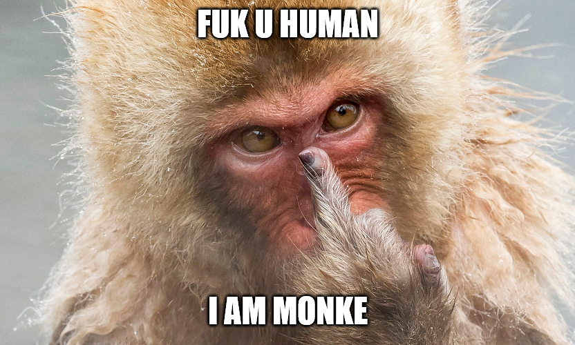 Rise my fellow monkes