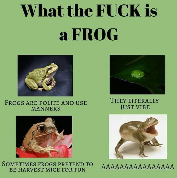 What even
