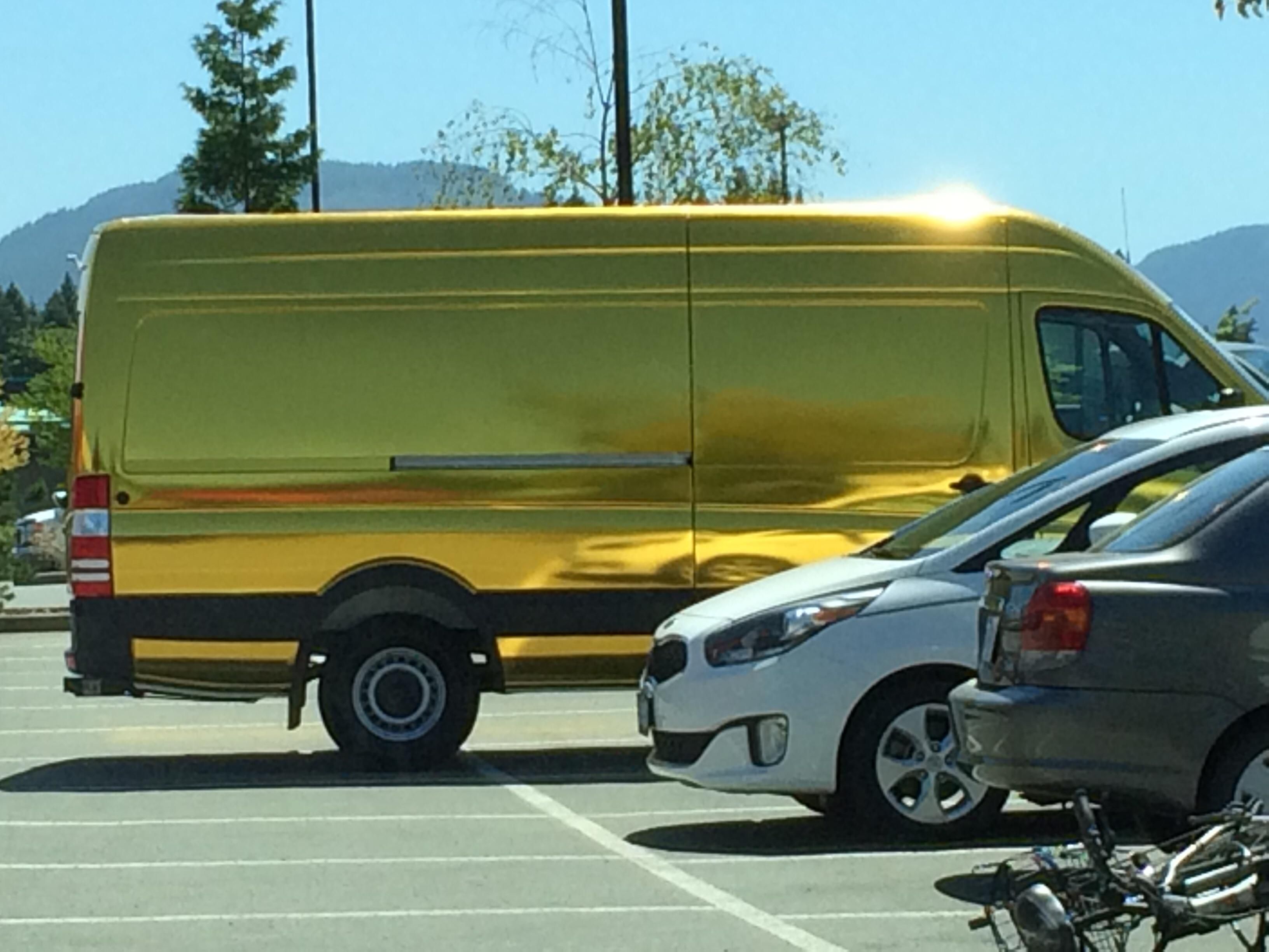 Van unlocked golden skin after kidnapping 10,000 kids