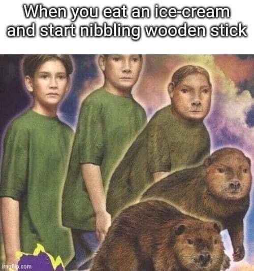 Go back to the roots