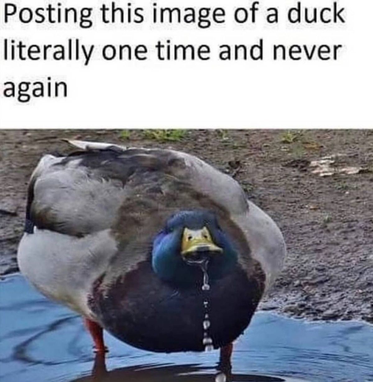 Don't make me do it again!