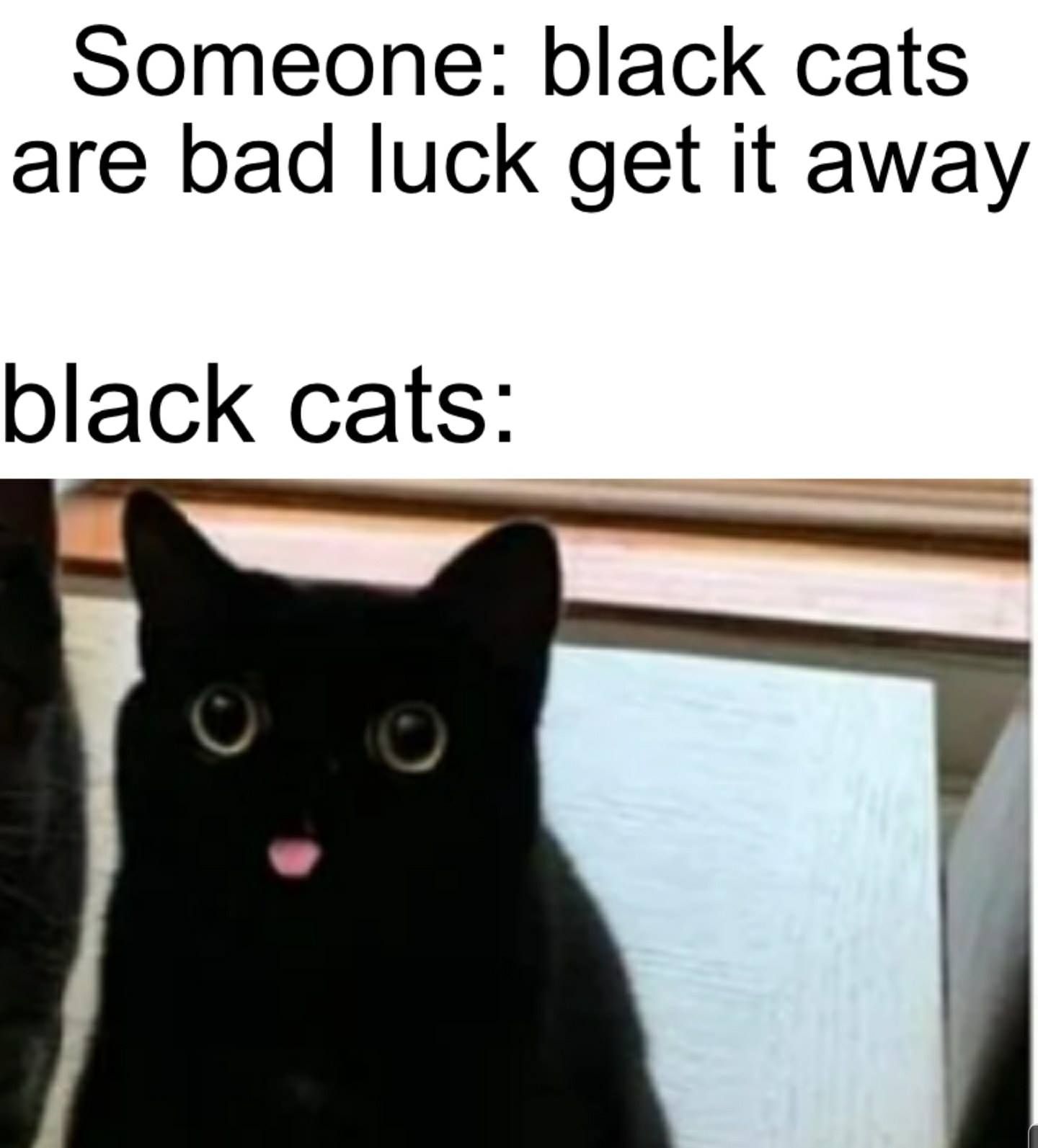 black cats are brehs