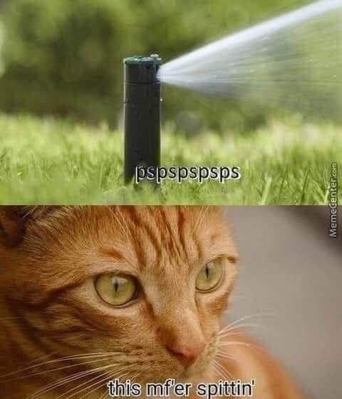BREHT