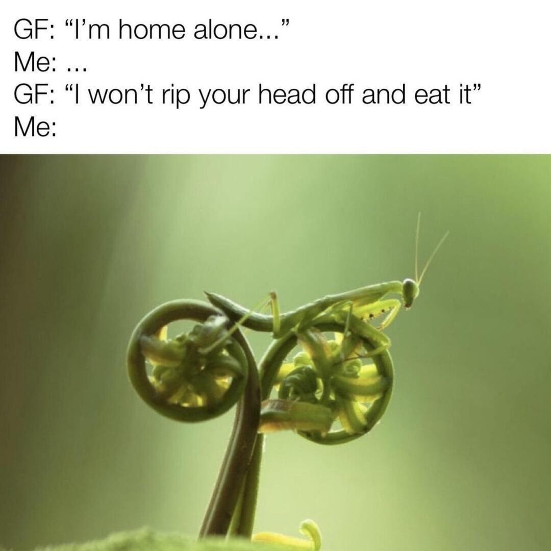 ... you promised right
