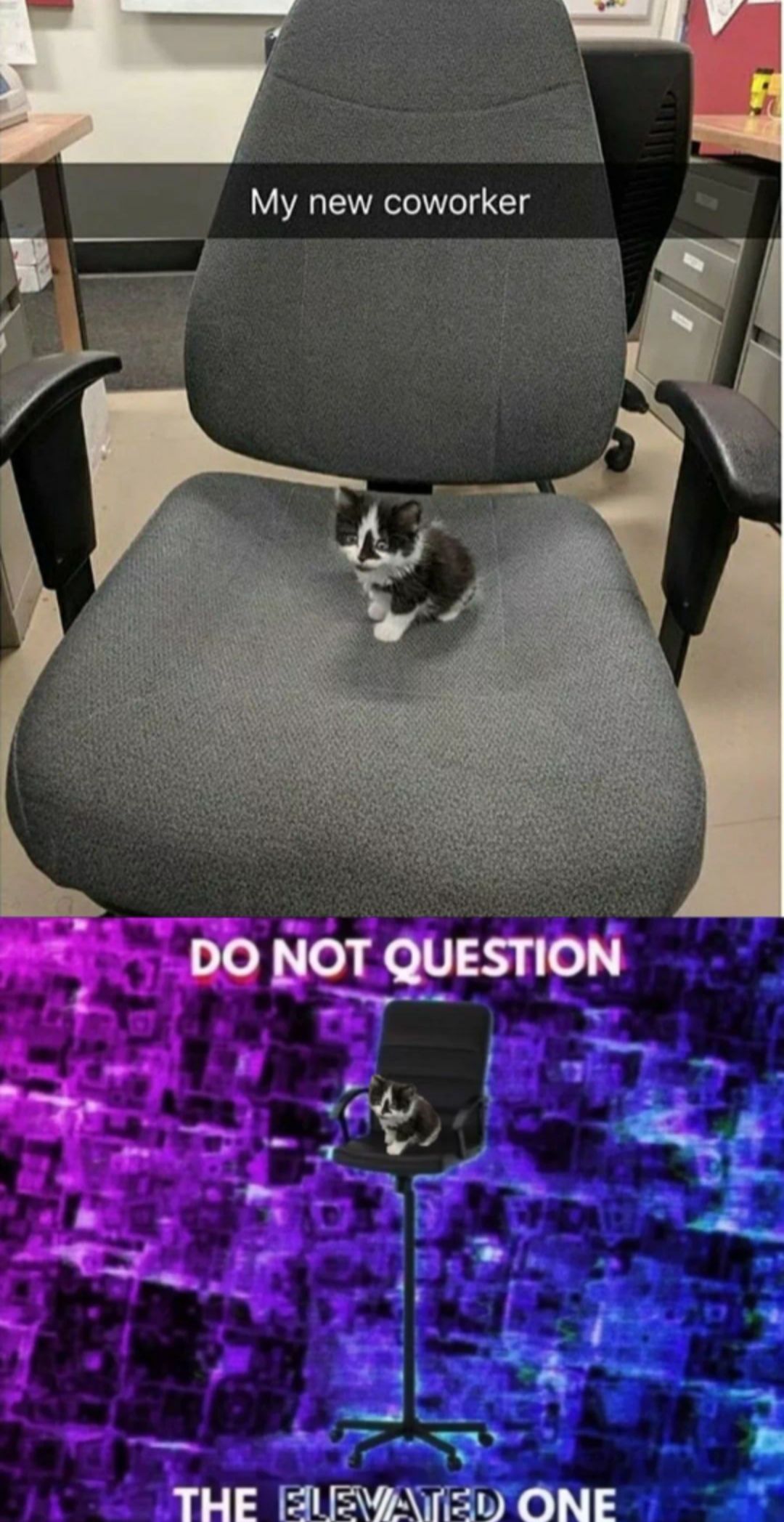 I wish he was my boss
