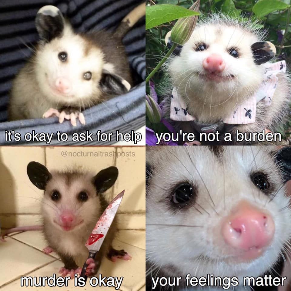 Possum
