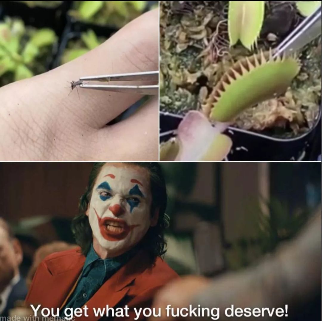 Revenge!!