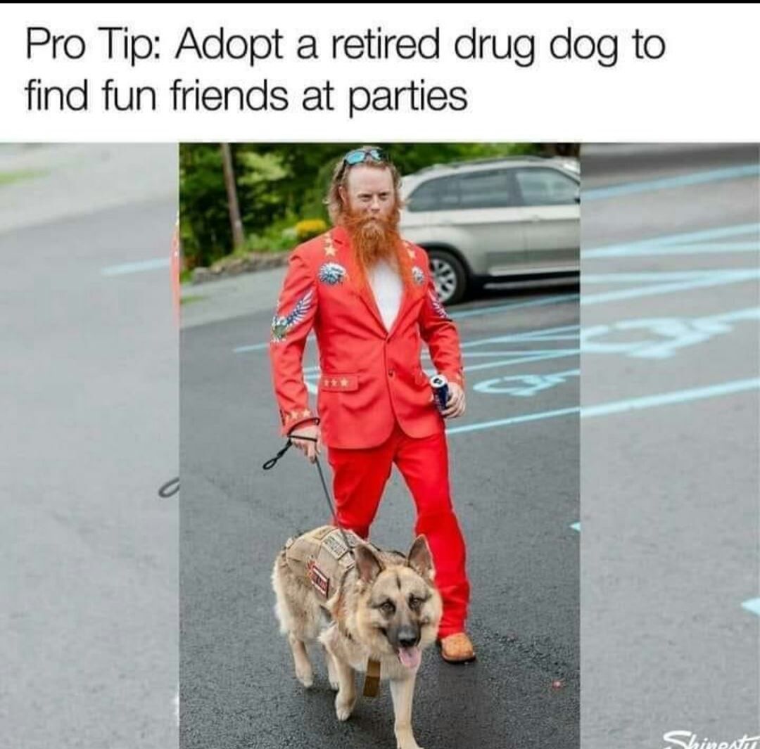 This is actually genius
