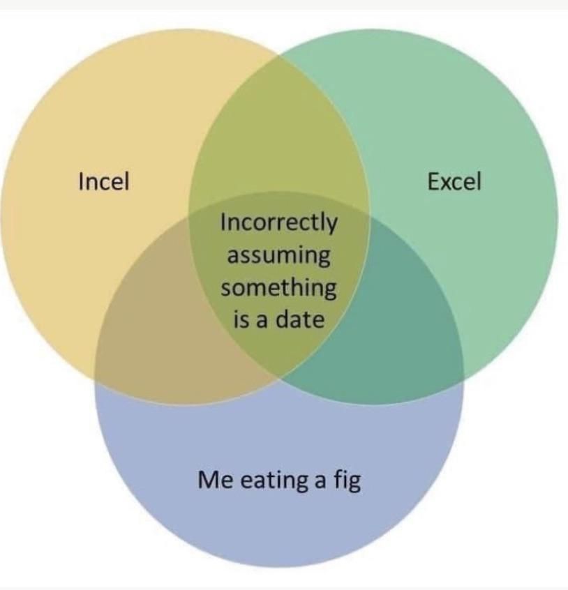 For a second I thought Excel was an Incel you dumped